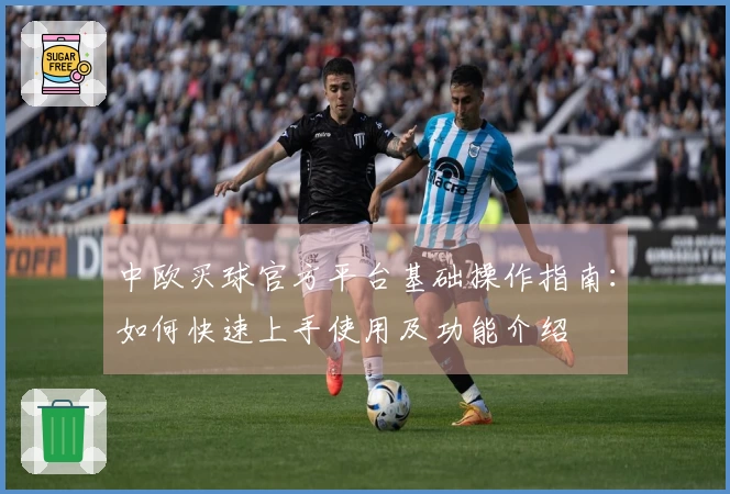中欧买球官方平台基础操作指南：如何快速上手使用及功能介绍