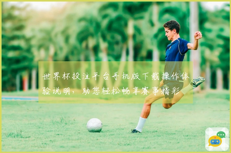 世界杯投注平台手机版下载操作体验说明，助您轻松畅享赛事精彩