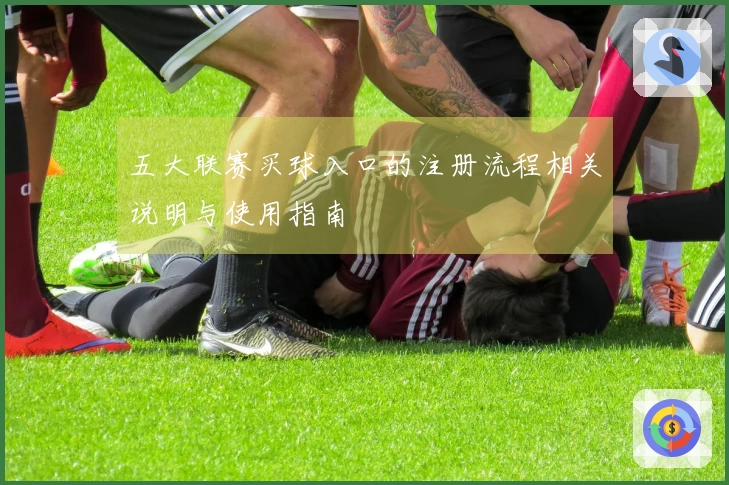 五大联赛买球入口的注册流程相关说明与使用指南