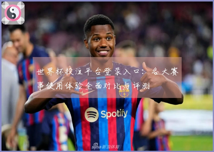 世界杯投注平台登录入口：各大赛事使用体验全面对比与评测