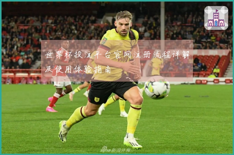 世界杯投注平台官网注册流程详解及使用体验指南