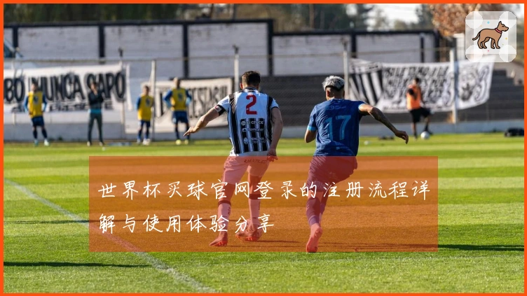 世界杯买球官网登录的注册流程详解与使用体验分享