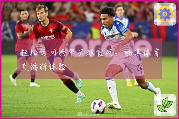轻松访问西甲买球官网，畅享体育直播新体验