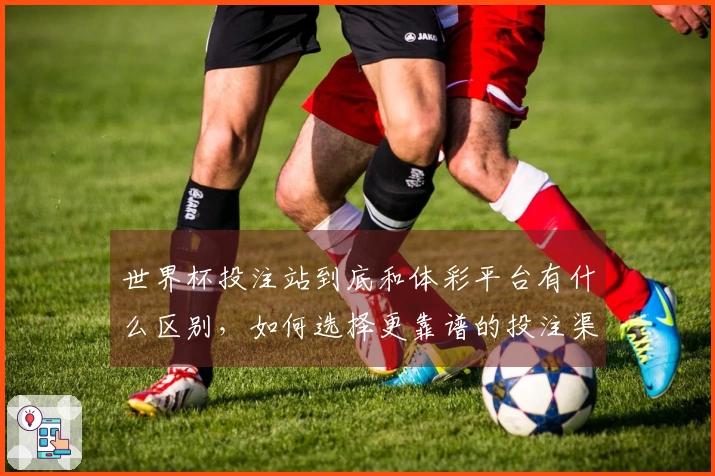 世界杯投注站到底和体彩平台有什么区别,如何选择更靠谱的投注渠道?