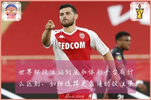 世界杯投注站到底和体彩平台有什么区别，如何选择更靠谱的投注渠道？